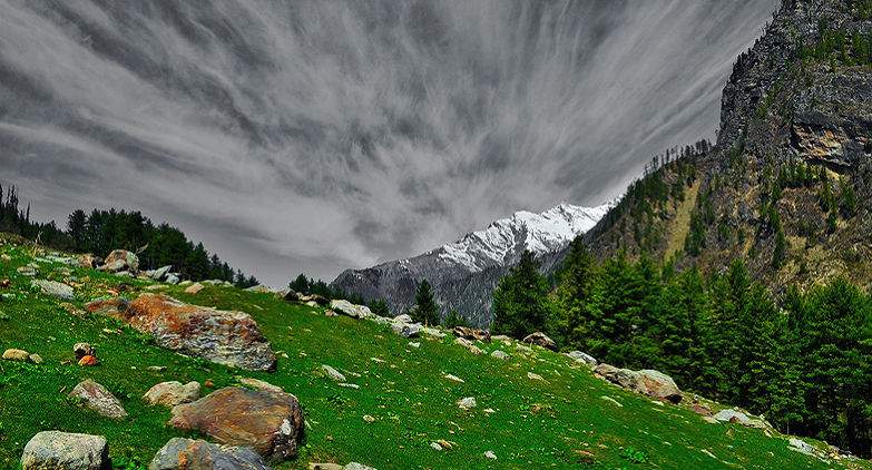 Places To Visit Kuari Pass Pangarchulla