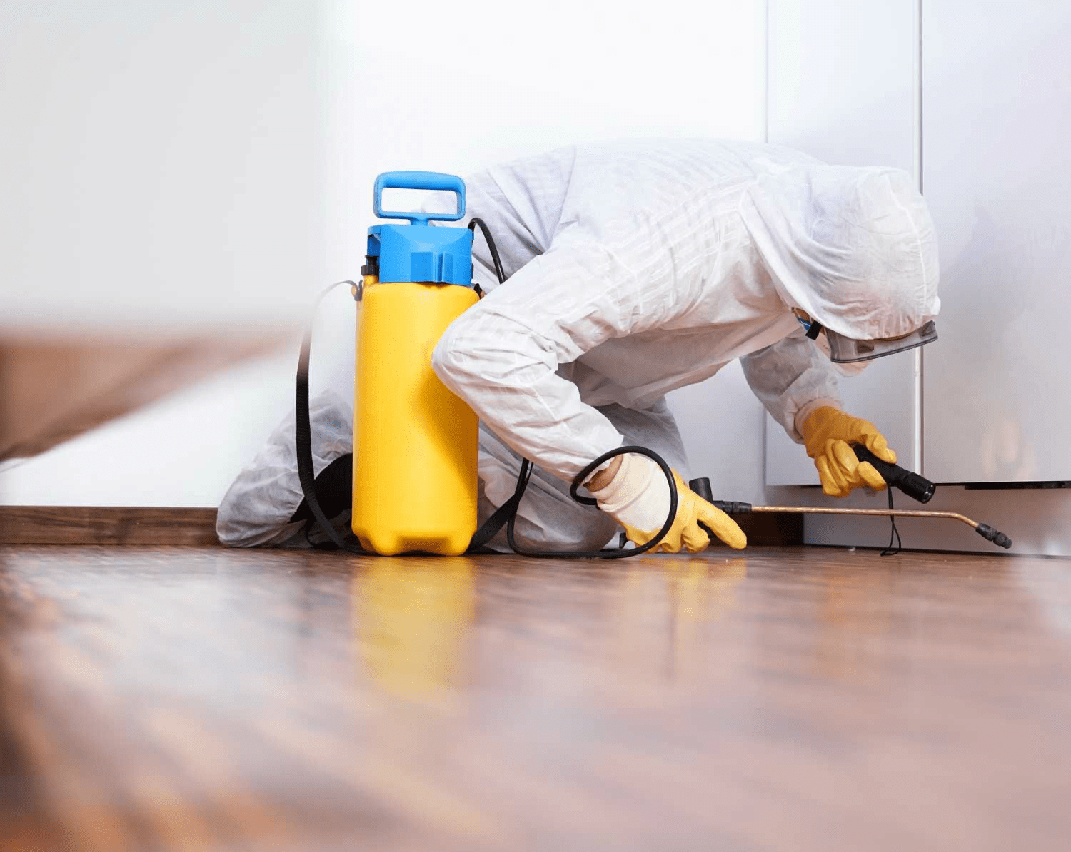 Why You Need Pest Control Service? Why You Need Pest Control Service?
