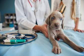 Finding An Appropriate Otology Clinic In Vancouver Finding An Appropriate Otology Clinic In Vancouver