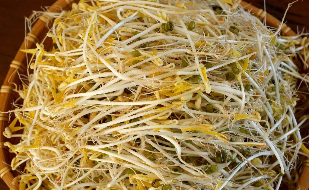 types of sprouts