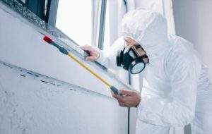 Pest Control Services